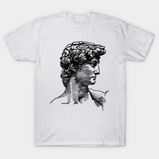 Michelangelo's David Greek Head Mythology Vintage Illustration Line Art T-Shirt by Aesthetic shirts  